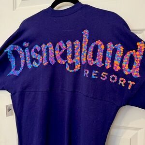 NWT Disney Parks Disneyland Spirit Jersey